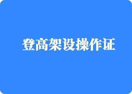 男女叉叉乳房视频女骚网站黄漫登高架设操作证